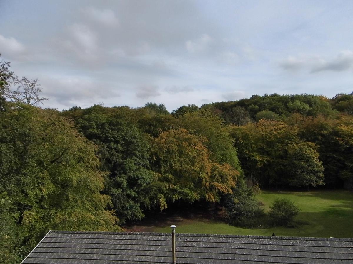 Bed and Breakfast The Mill At Glynhir Ammanford Exteriér fotografie