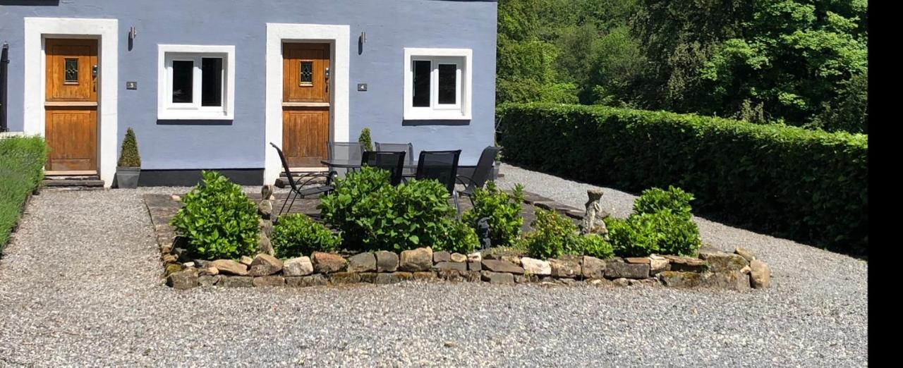 Bed and Breakfast The Mill At Glynhir Ammanford Exteriér fotografie